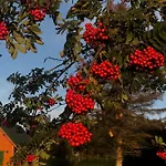 Holiday home Dom Nad Morzem Ludwikowo Skrzeszewo (Koszalin)