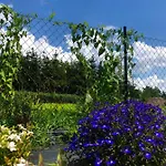 Holiday home Dom Nad Morzem Ludwikowo *