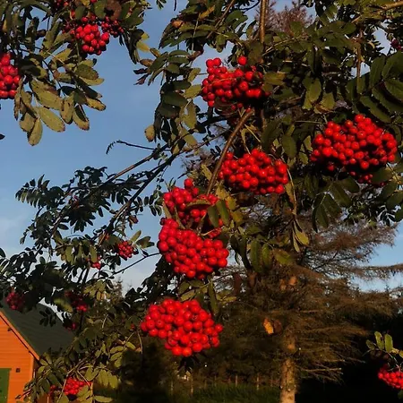 בית נופש Dom Nad Morzem Ludwikowo Skrzeszewo (Koszalin)