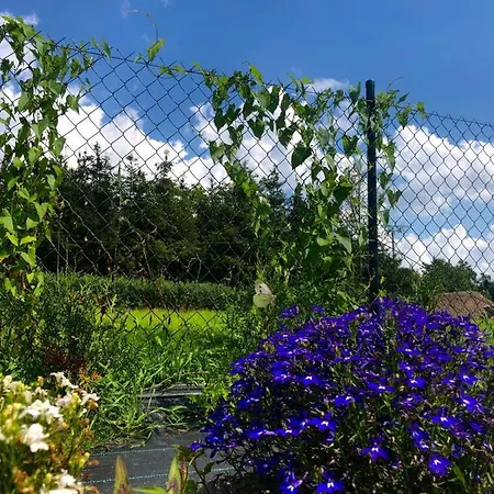 בית נופש Dom Nad Morzem Ludwikowo *